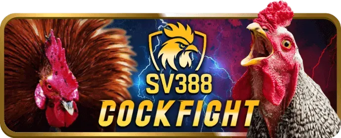 Đa dạng các môn thể thao: bóng đá, bóng rổ, tennis và eSports